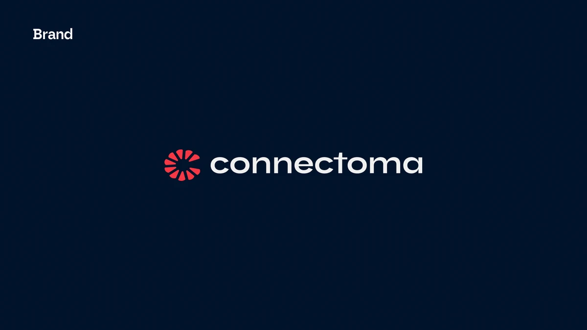 Connectoma - Branding and website for AI-based diagnostics startup